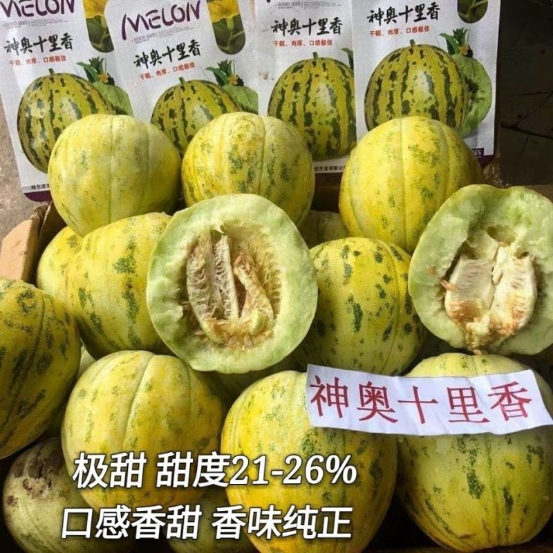 神奥十里香甜瓜种子高糖豹纹花皮甜瓜种子香味纯正口感香甜
