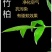水培驱蚊竹柏四季常青花卉客厅高档植物盆栽绿植室内客办公桌