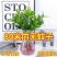 水培驱蚊竹柏四季常青花卉客厅高档植物盆栽绿植室内客办公桌