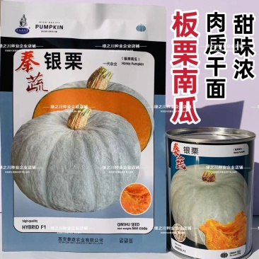 秦蔬银栗南瓜种子银灰绿银板栗南瓜种子甘肃种籽香甜干面南瓜