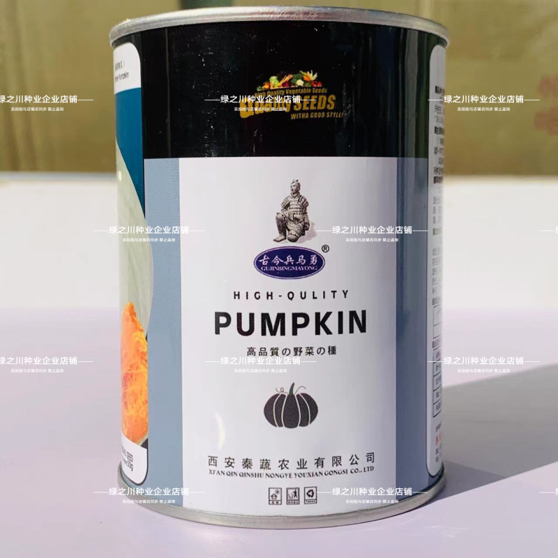 秦蔬银栗南瓜种子银灰绿银板栗南瓜种子甘肃种籽香甜干面南瓜