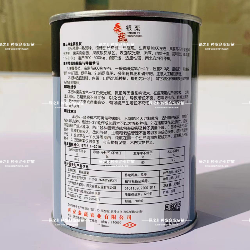 秦蔬银栗南瓜种子银灰绿银板栗南瓜种子甘肃种籽香甜干面南瓜
