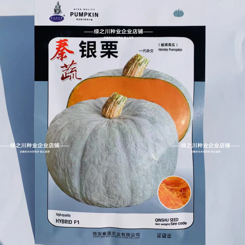 秦蔬银栗南瓜种子银灰绿银板栗南瓜种子甘肃种籽香甜干面南瓜