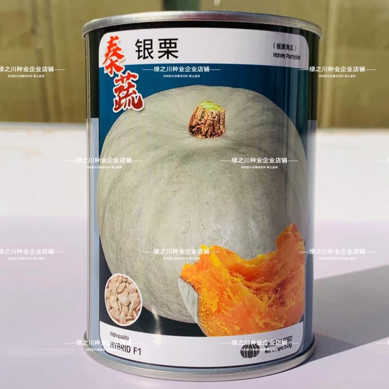 秦蔬银栗南瓜种子银灰绿银板栗南瓜种子甘肃种籽香甜干面南瓜