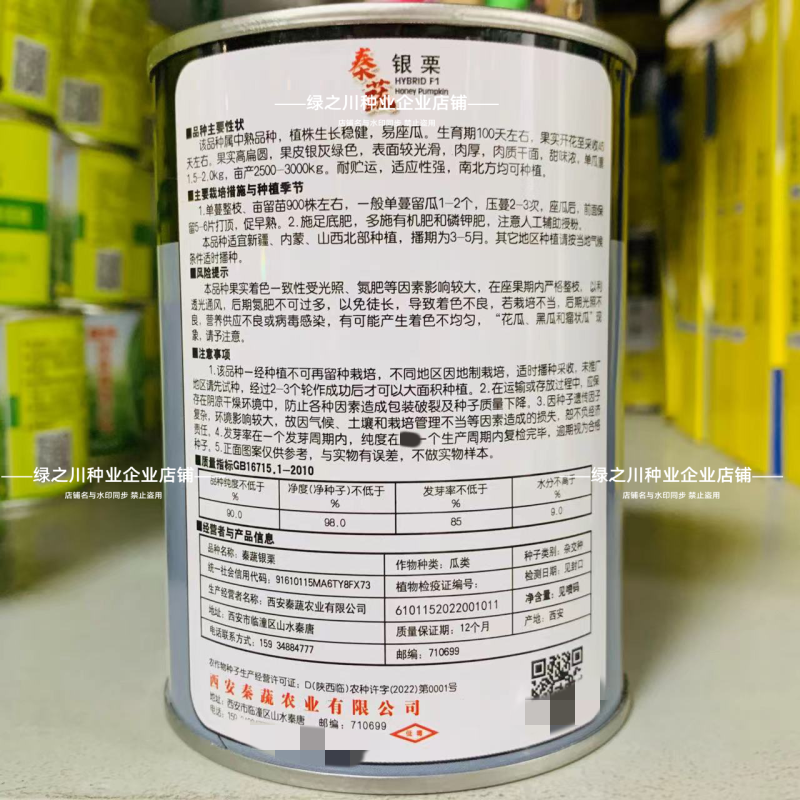 秦蔬银栗南瓜种子银灰绿银板栗南瓜种子甘肃种籽香甜干面南瓜
