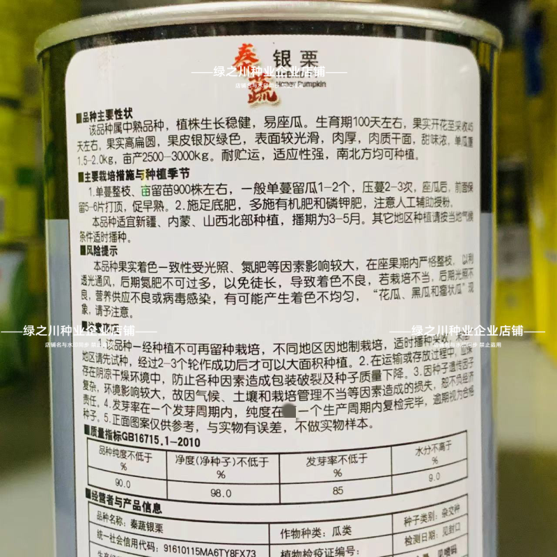 秦蔬银栗南瓜种子银灰绿银板栗南瓜种子甘肃种籽香甜干面南瓜