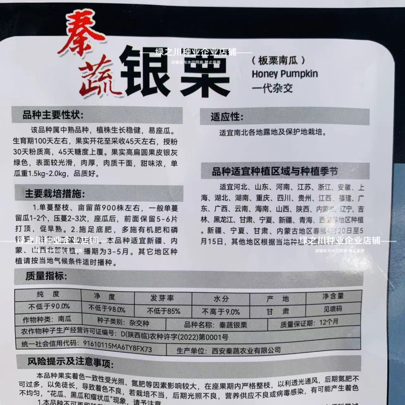 秦蔬银栗南瓜种子银灰绿银板栗南瓜种子甘肃种籽香甜干面南瓜