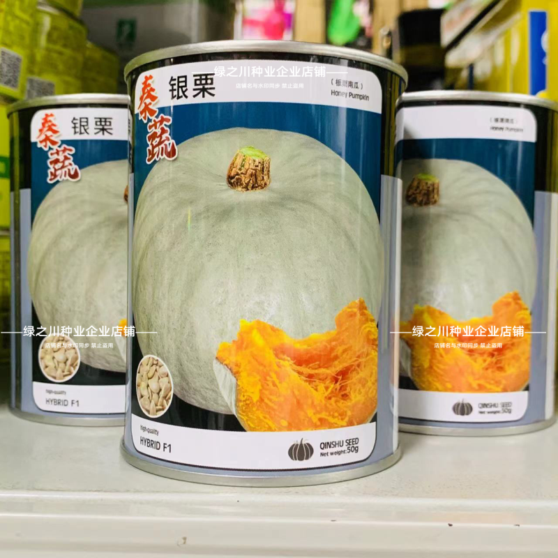 秦蔬银栗南瓜种子银灰绿银板栗南瓜种子甘肃种籽香甜干面南瓜