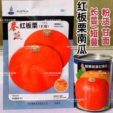 秦蔬红栗南瓜种籽短蔓甜面南瓜种籽红板栗南瓜种子长蔓南瓜