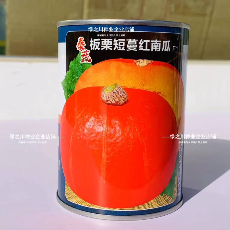 秦蔬红栗南瓜种籽短蔓甜面南瓜种籽红板栗南瓜种子长蔓南瓜