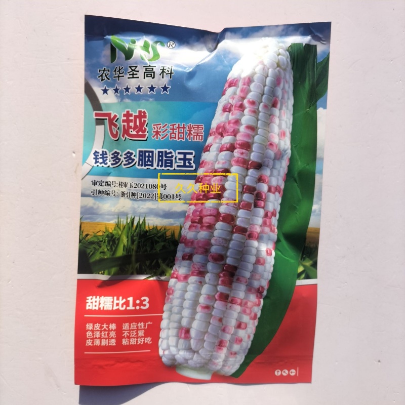 钱多多胭脂玉彩甜糯玉米种子种孑抗病大棒甜加糯玉米种籽