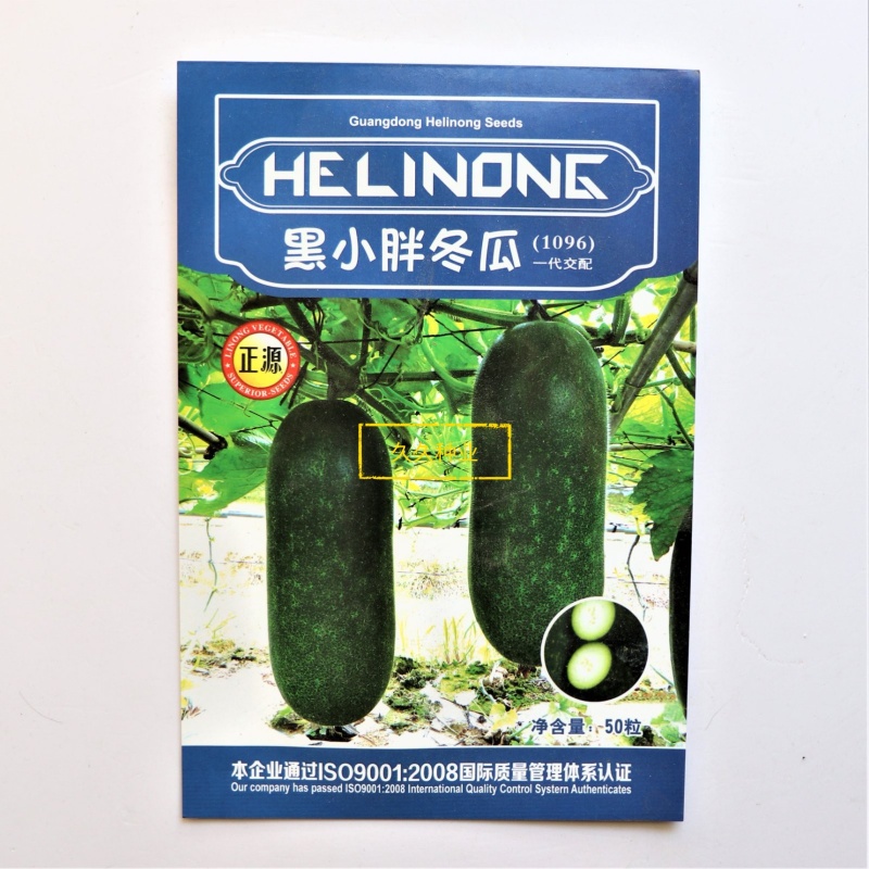 正源黑小胖冬瓜种子一代杂交小冬瓜种籽早中熟品种