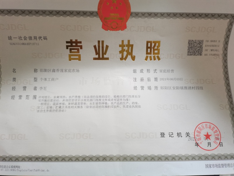 太空莲36号水果莲蓬原种，保证质量