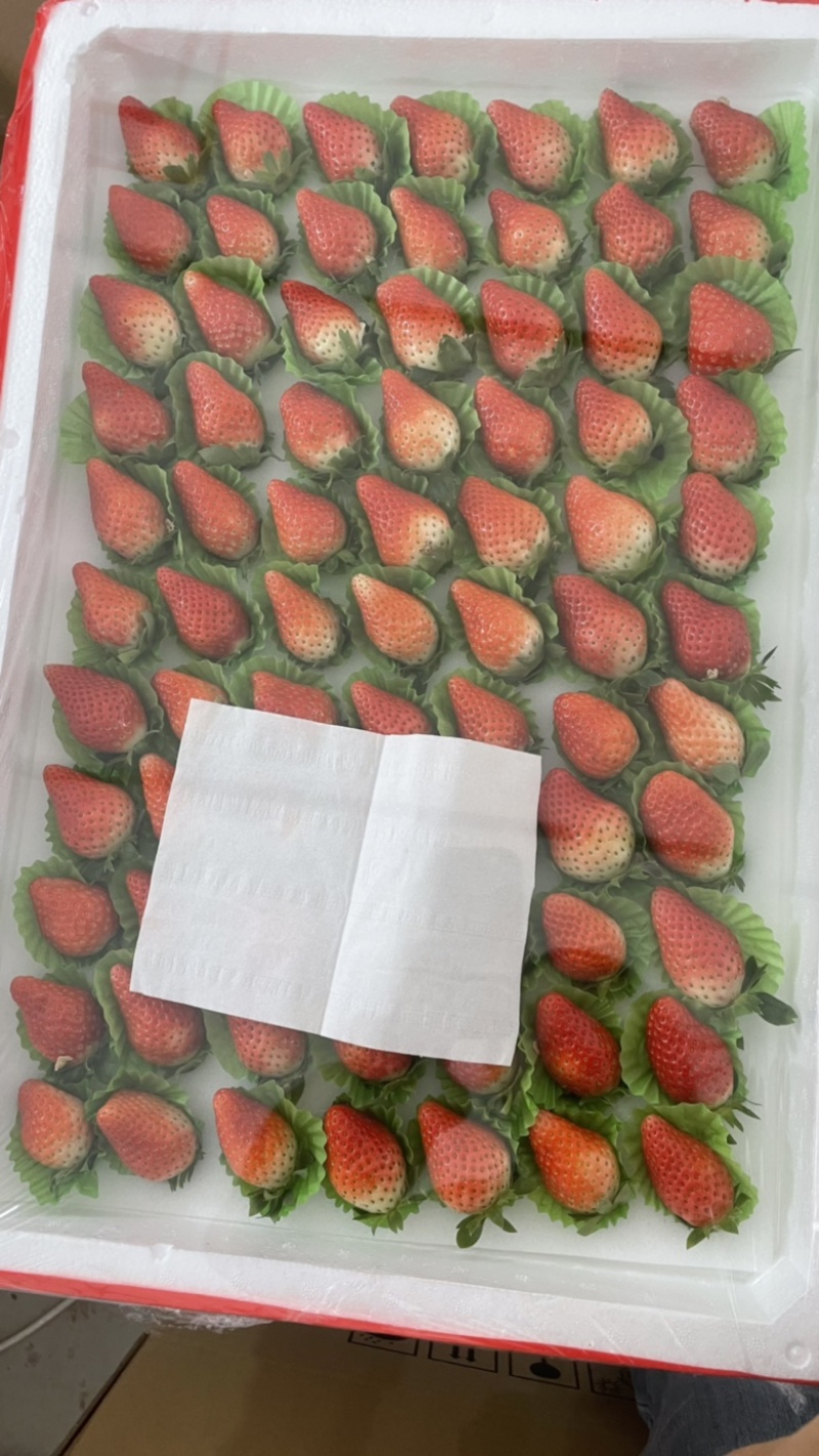徐州万亩田奶油草莓，各种包装齐全，供应各大市场商超。