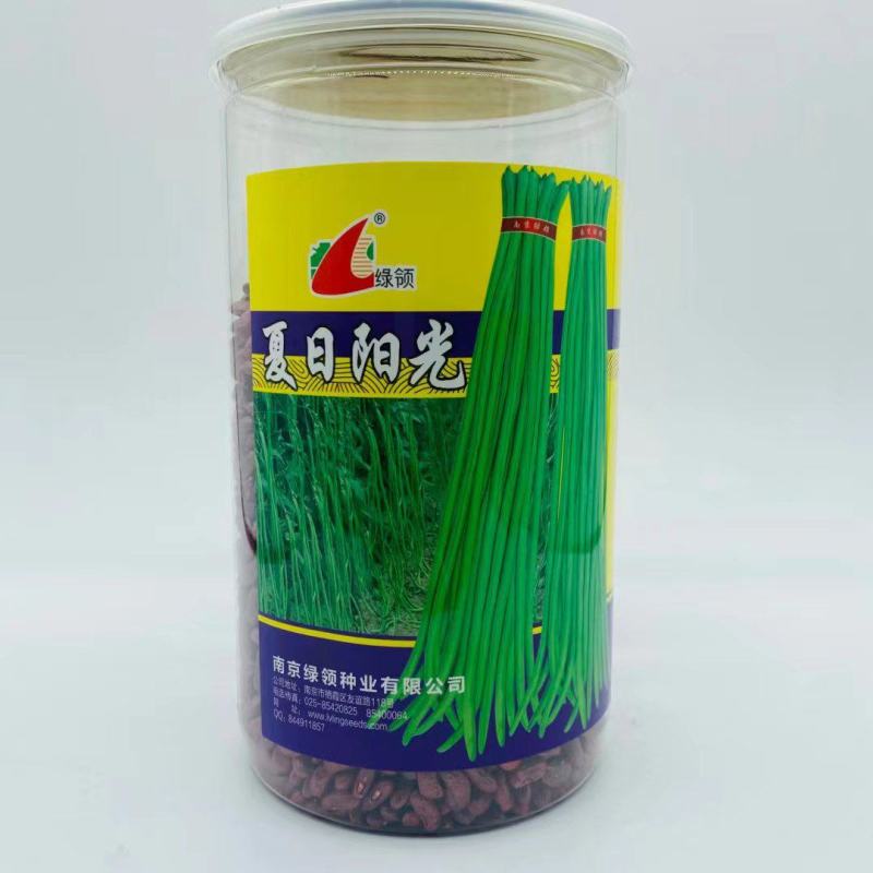 夏曰阳光豆角种子早熟荚条油绿色顺直产量高