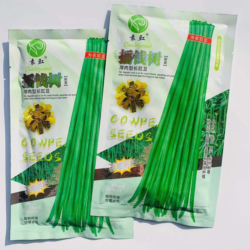 袁豇摇钱树长豆角种子厚肉型长豇豆种籽早中熟长荚深嫩绿色春