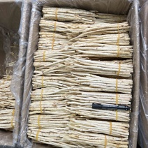 沙参靓货