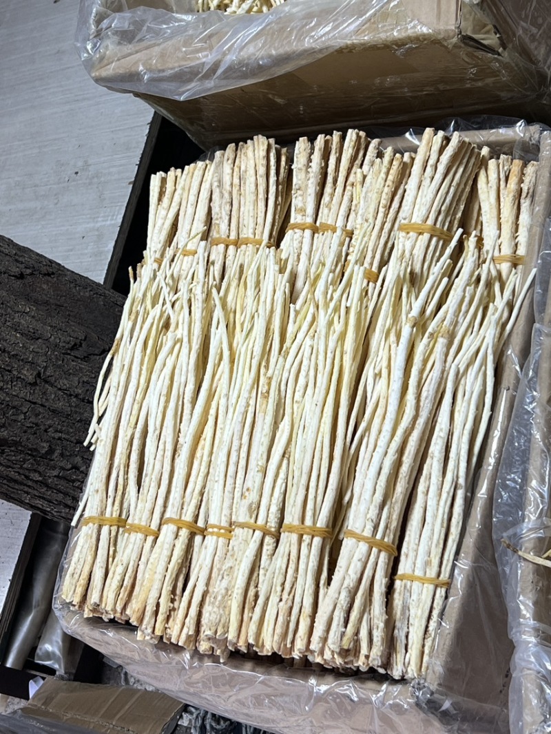 沙参靓货