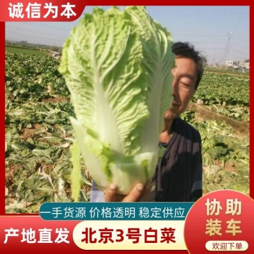山东省（北京3号)酱菜厂，酸菜厂，加工厂，电商超市**