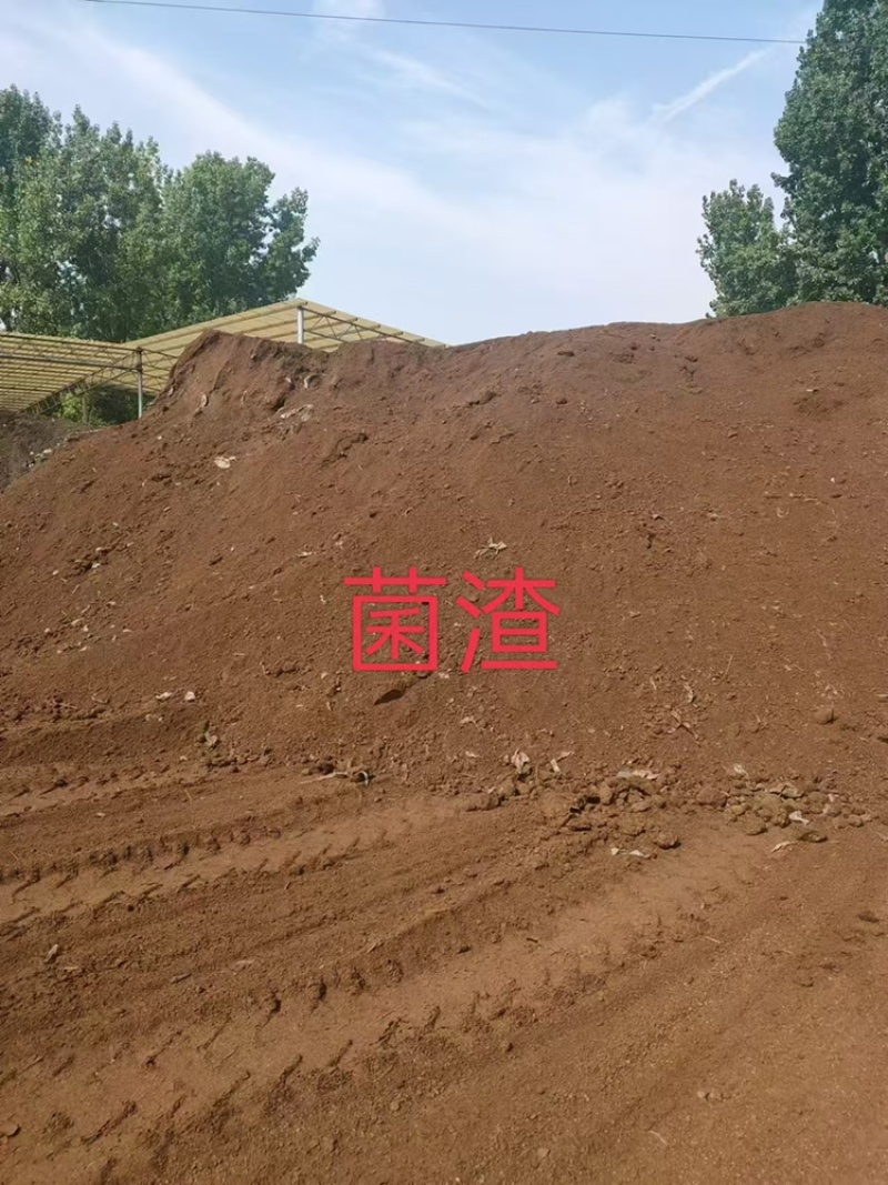 菌渣产地有货品质保证服务周到视频看货