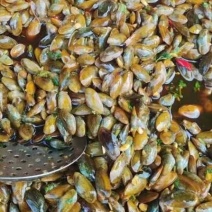 潮汕生腌海瓜子料鸠