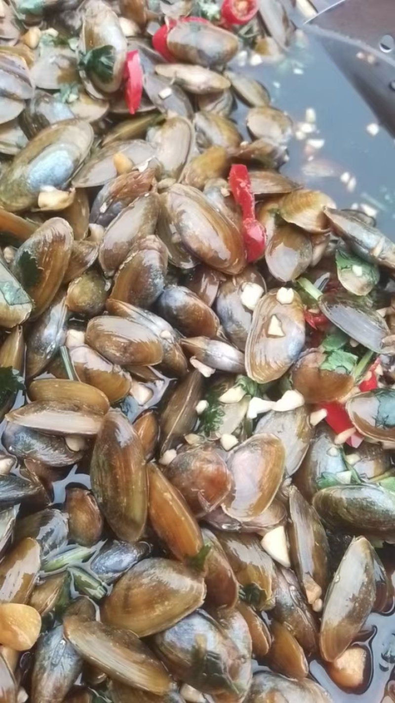 潮汕生腌海瓜子料鸠