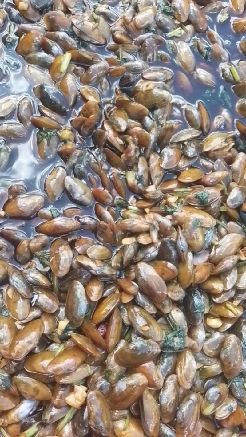 潮汕生腌海瓜子料鸠