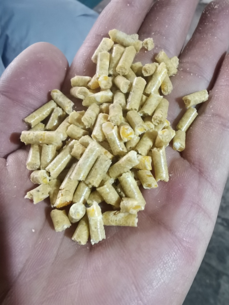 豆饼菌肥
