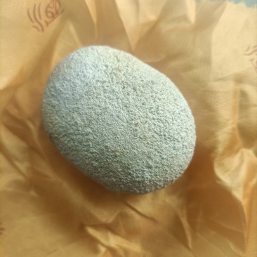 ***狗宝一枚
