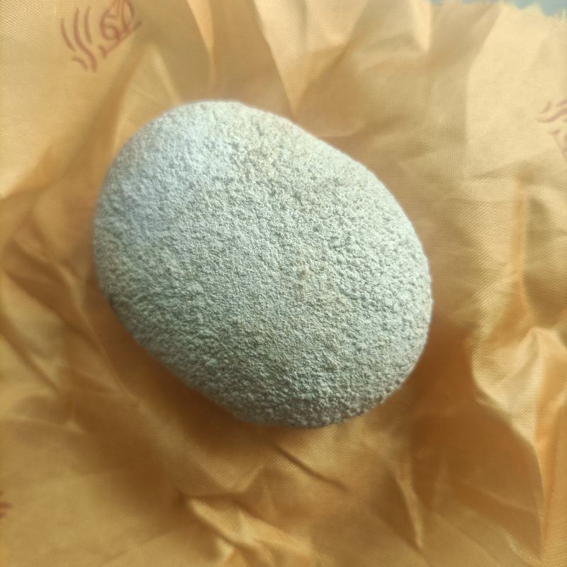 ***狗宝一枚