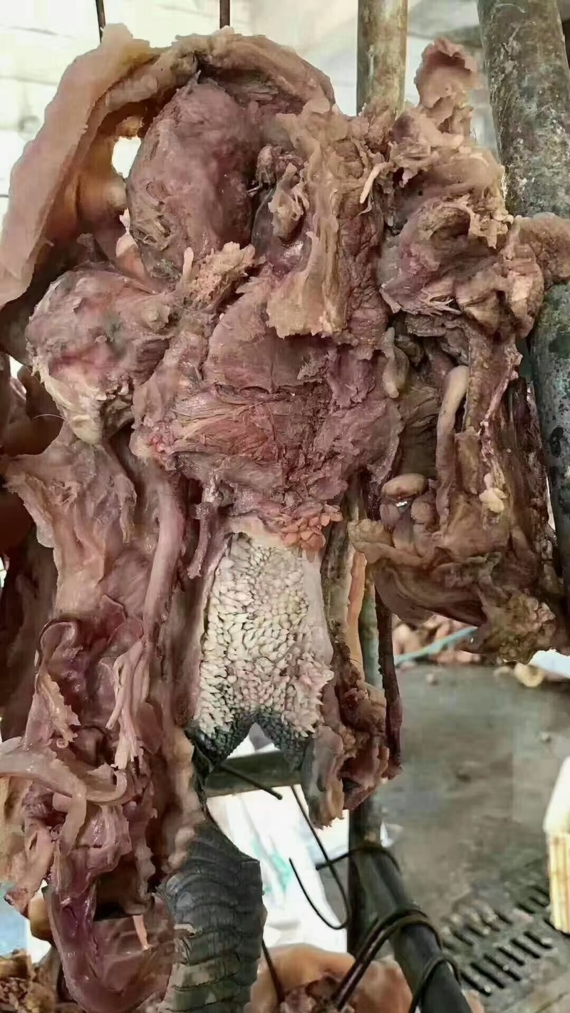 去皮牛头肉，好吃不贵