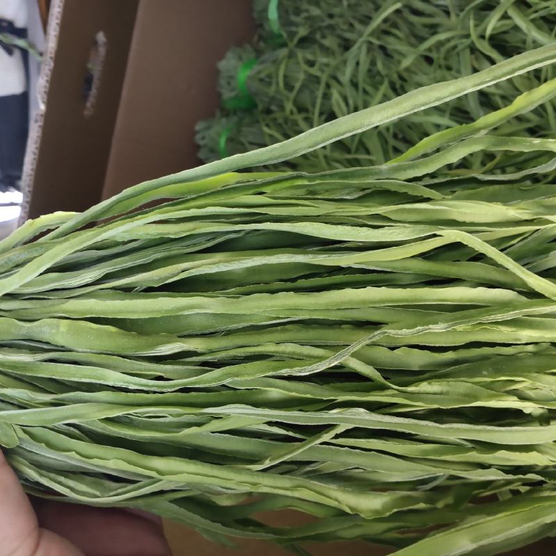 云南高山贡菜