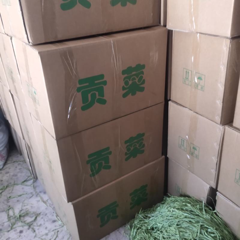 云南高山贡菜