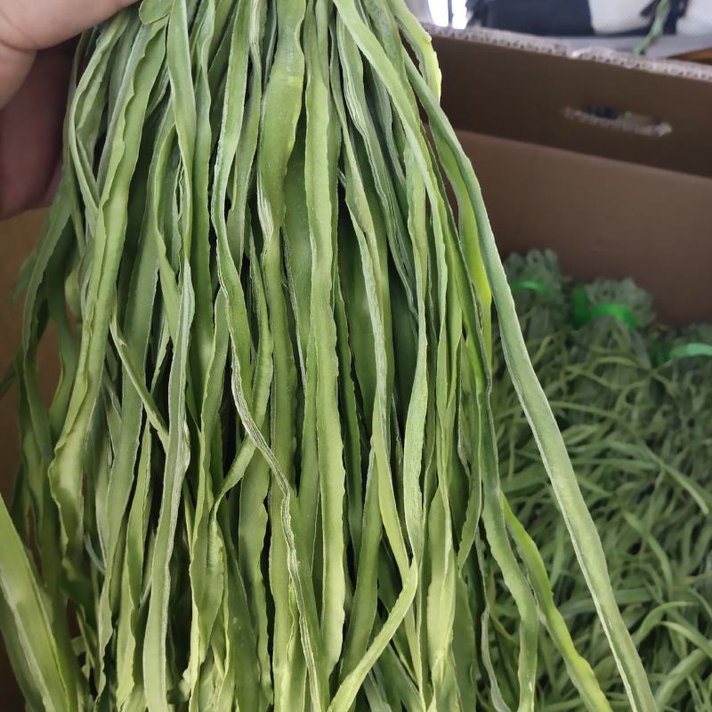 云南高山贡菜