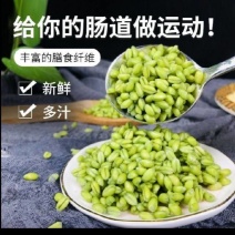 新鲜优质麦仁，营养丰富，适合家庭烘焙与健康饮食，欢迎选购！
