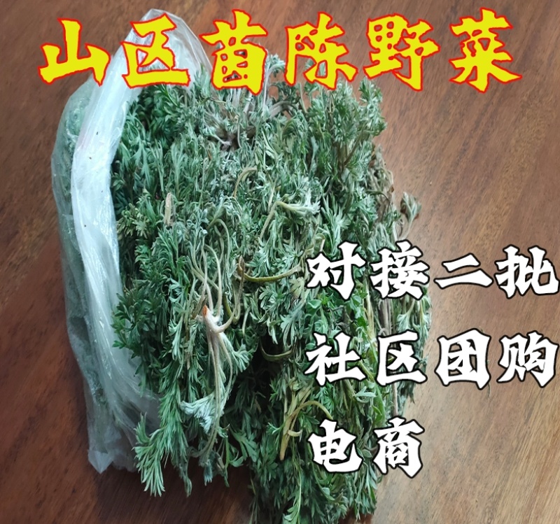 茵陈白蒿新鲜供应代办批发社区团购电商