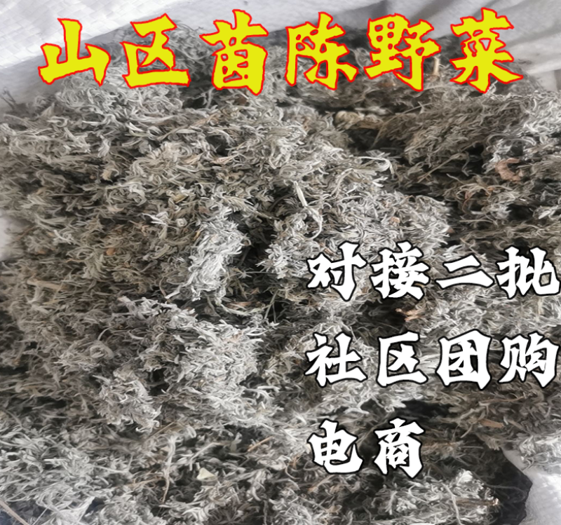 茵陈白蒿新鲜供应代办批发社区团购电商