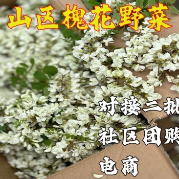 槐花洋槐花批发二批一件代发电商供货