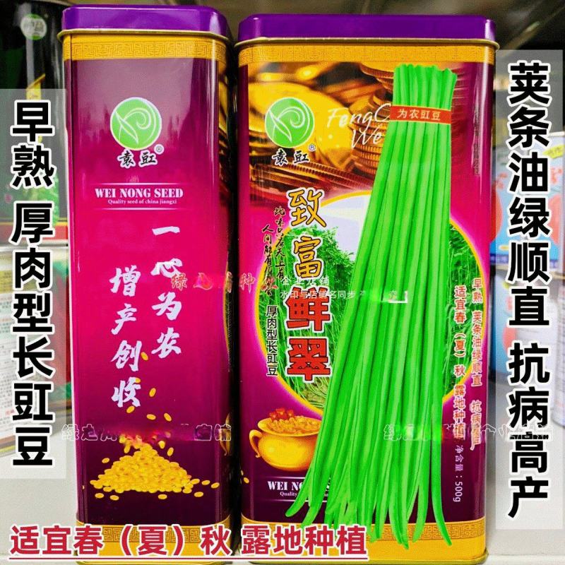 致富鲜翠豆角种子小叶早熟翠绿条豇豆角种籽荚长无鼠尾长豇豆