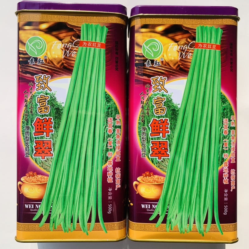 致富鲜翠豆角种子小叶早熟翠绿条豇豆角种籽荚长无鼠尾长豇豆