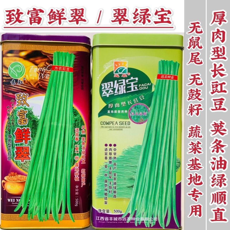 致富鲜翠豆角种子小叶早熟翠绿条豇豆角种籽荚长无鼠尾长豇豆