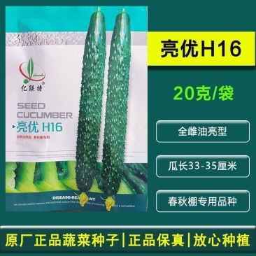 亿联特黄瓜种子亮优H16黄瓜种子全雌油亮春季秋大棚绿肉