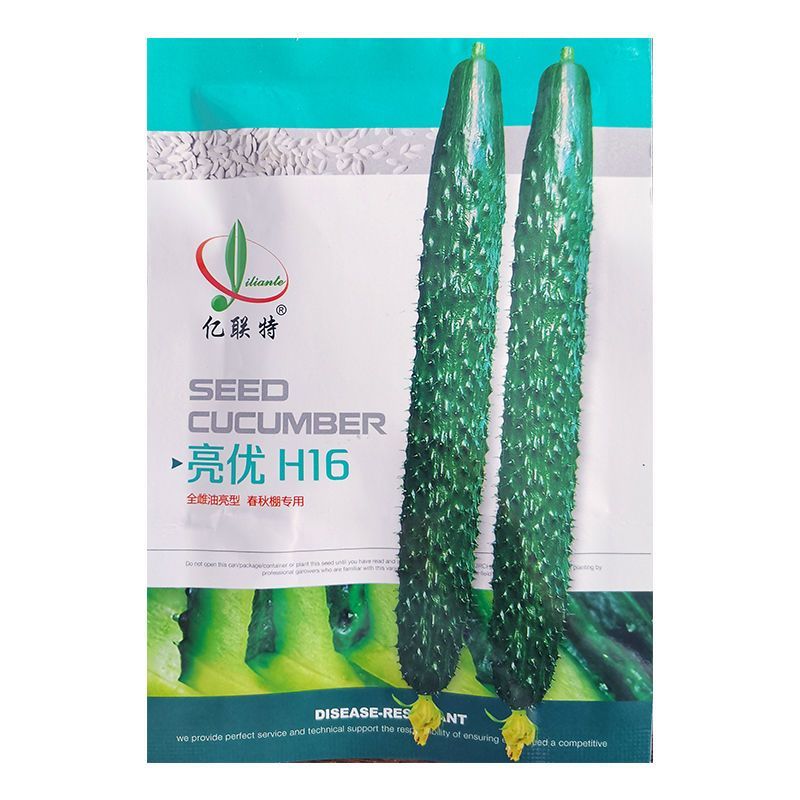 亿联特黄瓜种子亮优H16黄瓜种子全雌油亮春季秋大棚绿肉