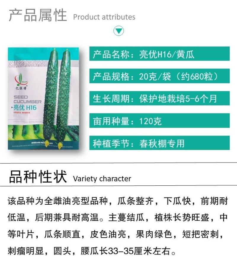 亿联特黄瓜种子亮优H16黄瓜种子全雌油亮春季秋大棚绿肉