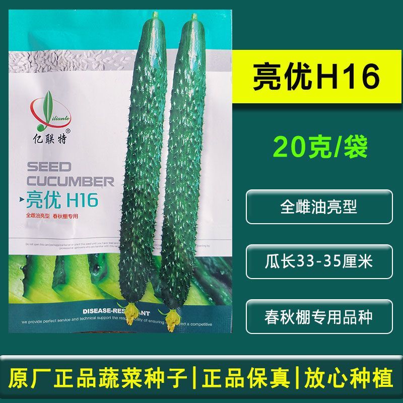 亿联特黄瓜种子亮优H16黄瓜种子全雌油亮春季秋大棚绿肉