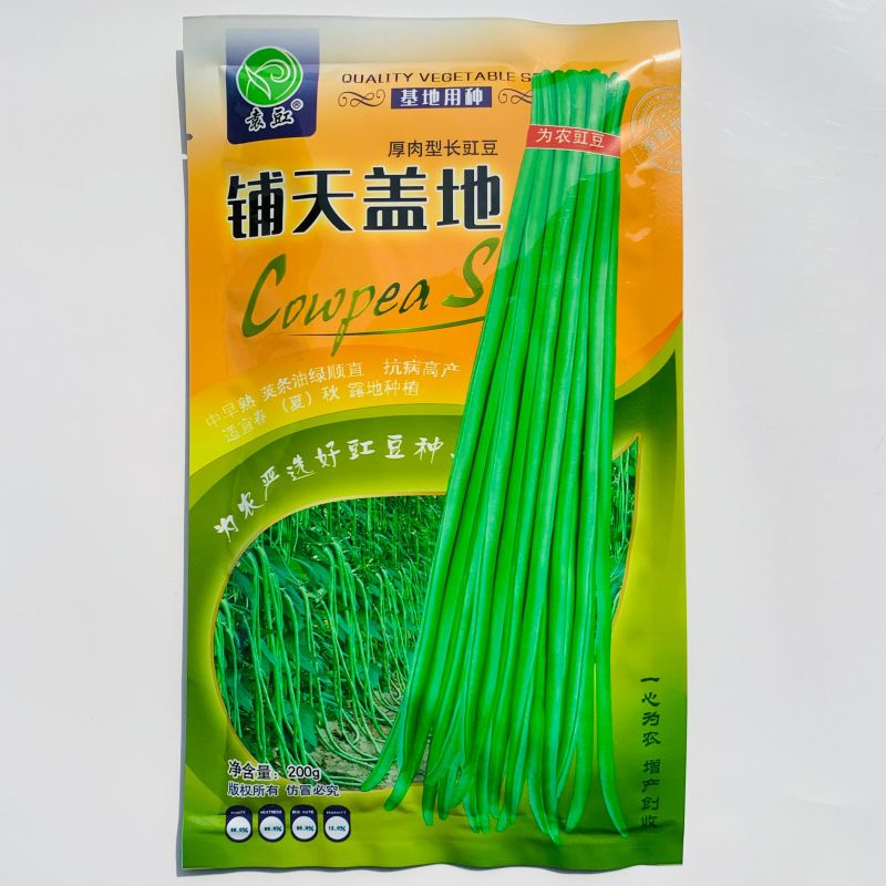 铺天盖地豇豆种子抗病高产长豆角种籽翠绿色春夏秋季基地种植