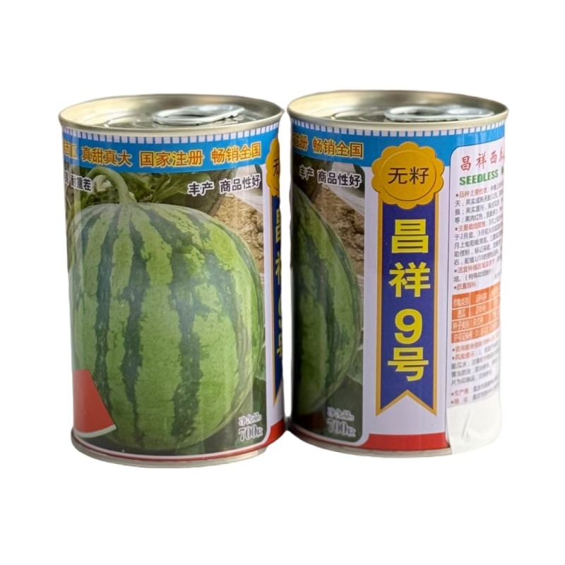 昌祥9号花皮红瓤无籽西瓜种籽高产早熟甜耐重茬圆形无籽瓜种