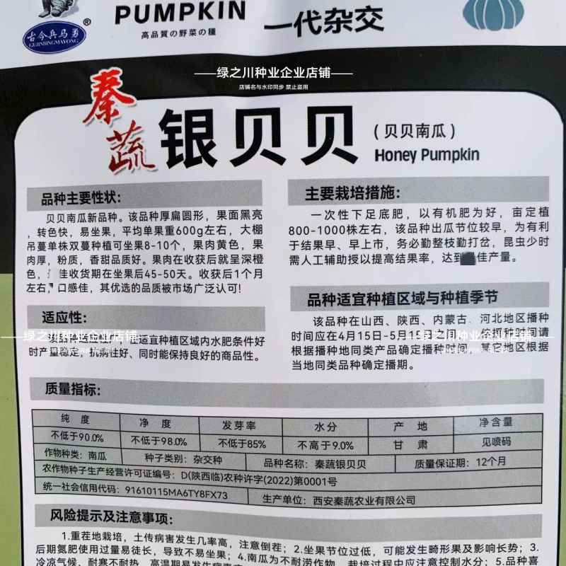 秦蔬银贝贝南瓜种籽香甜高产小型银栗灰皮南瓜种子迷你贝贝