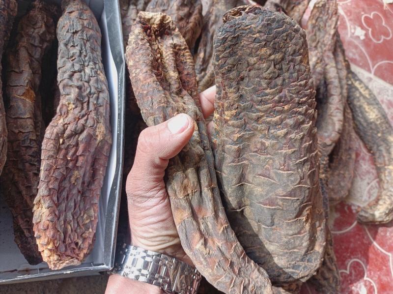 【热卖推荐】新疆和田肉苁蓉一手货源产地直发
