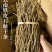 云南天然石斛晒干正宗霍山铁皮石斛干条无渣胶质饱满五年枫斗新货